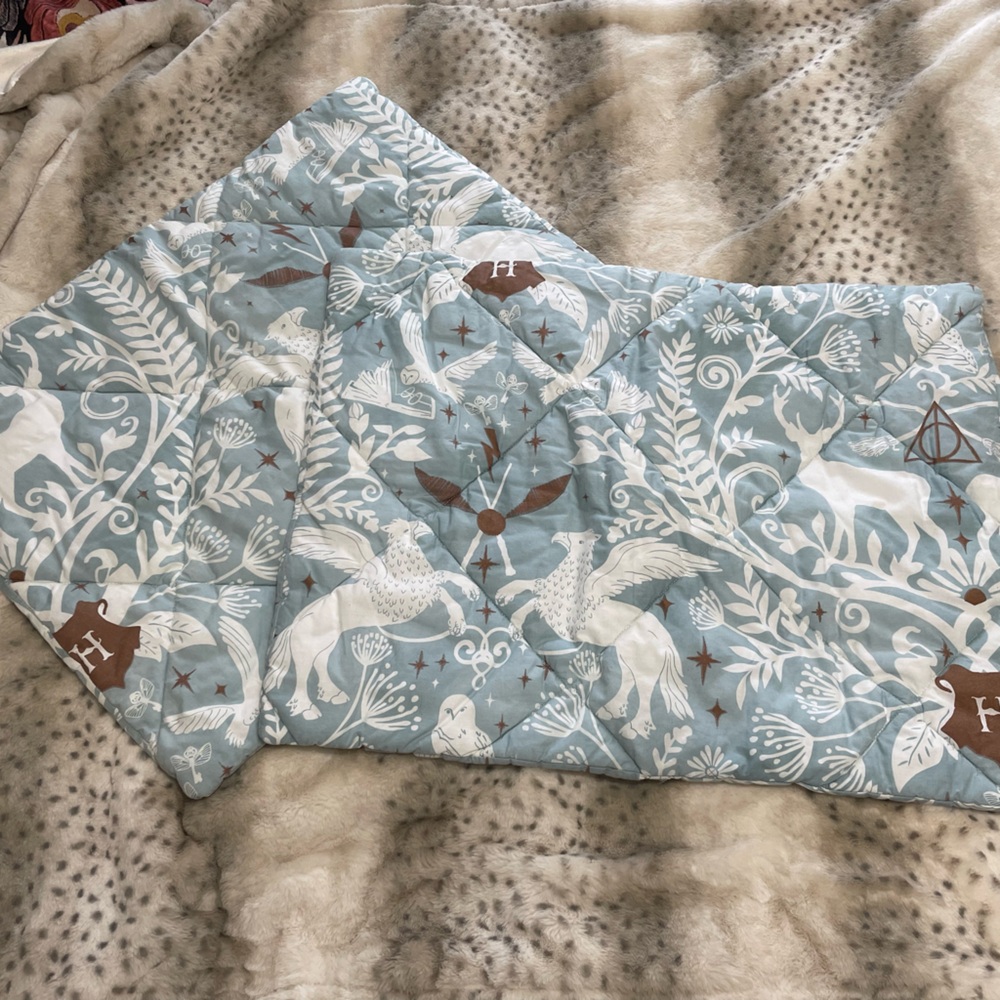 Harry Potter Pottery Barn Teen Magical Damask Mint Pillow Shams (x2)